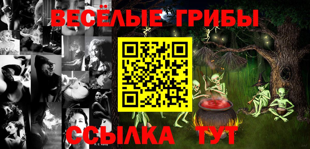Псилоцибиновые грибы мицелий Воскресенск